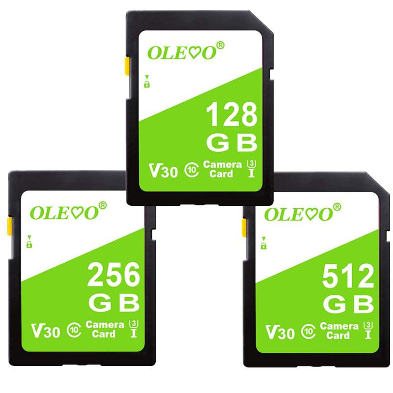 SD Memory Card 16GB 32GB 64GB 128GB 256GB 512GB C10 SD Card for Camera SRL