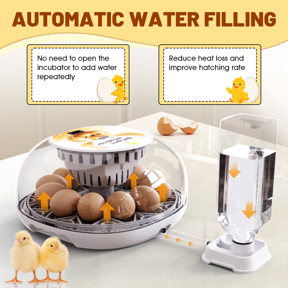 M12 transparante hoes voor het observeren van thuisbroedmachine, automatische temperatuurregeling en weergave van 12 eieren, kleine incubator