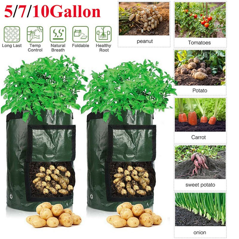 Bac de culture pour pommes de terre, bac en tissu bricolage, pot de plantation de légumes, outil de jardinage pour la maison et la ferme