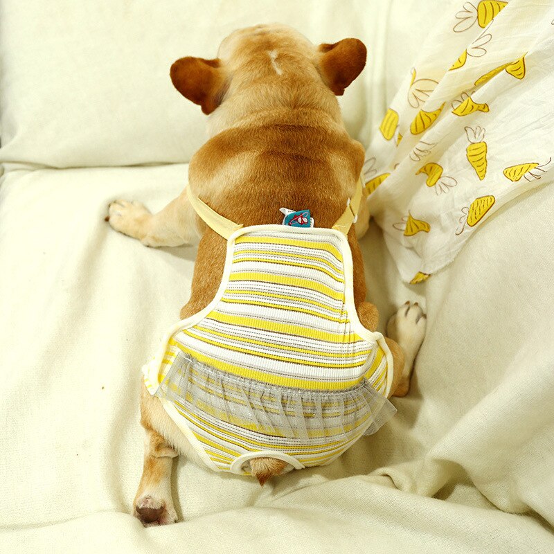 Söta franska bulldog kedi fysiologiska byxor tvättbara kvinnliga tik tjej hund underkläder shorts för små hundar maskot tillbehör