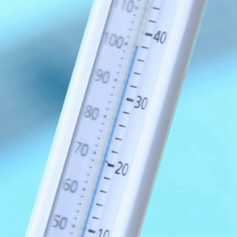 Drijvende Zwembad Thermometer,Water Thermometer Met String, Vijver Thermometer Makkelijk Lezen, Dier Drijvende Thermometer