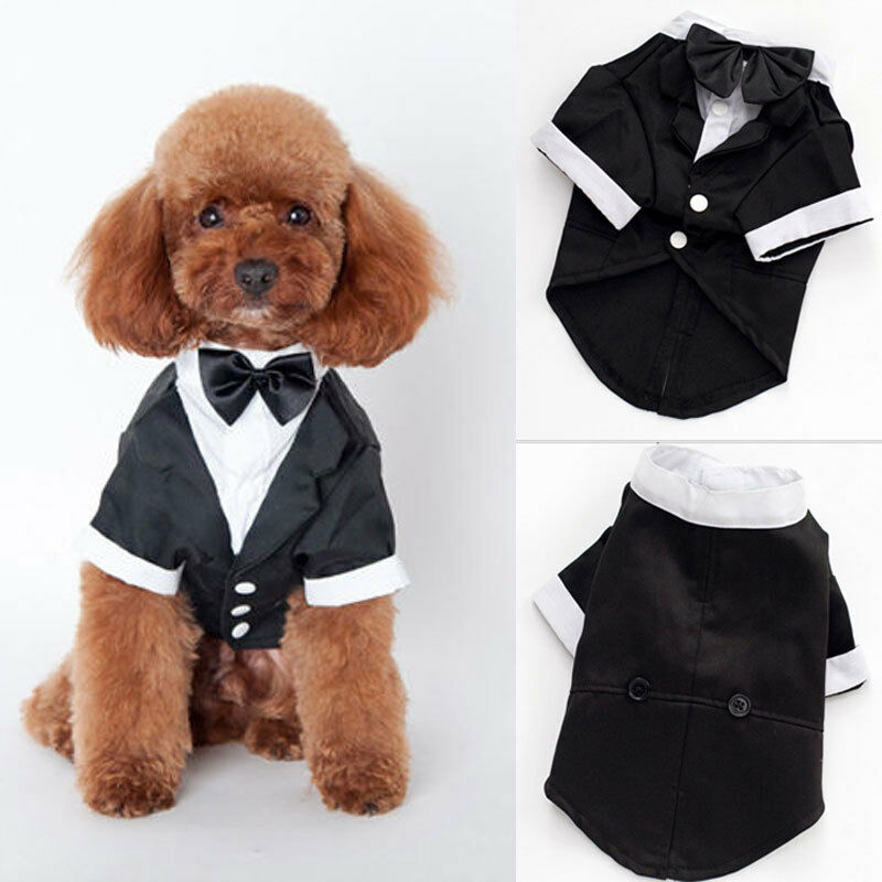 Ropa para perro, disfraz de boda para gato, príncipe, caballero, Chihuahua, esmoquin, pajarita, abrigo para cachorros, 5 tamaños, suministros para Mascotas