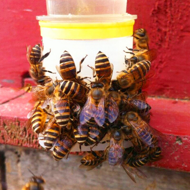 Bebedero para abejas, herramientas de apicultura, equipo de agua potable para apicultura, bebedero automático, 10 Uds.