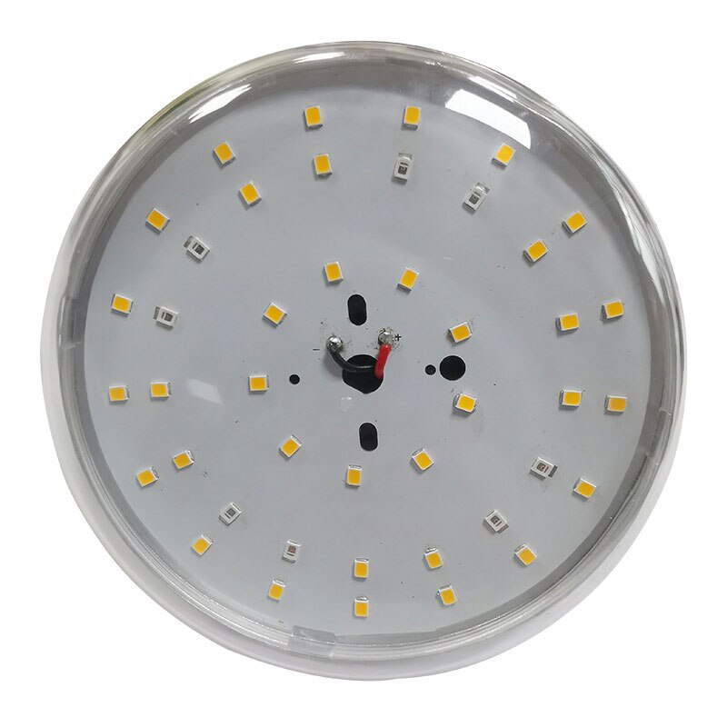 Dragon fruit fill light plant light plant growth light plant fill light