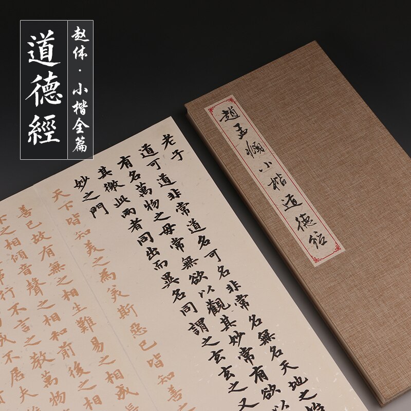 Cuaderno de práctica de caligrafía para adultos, libreta de papel medio adulto, Xuan, para principiantes, tipo de poetría China: C