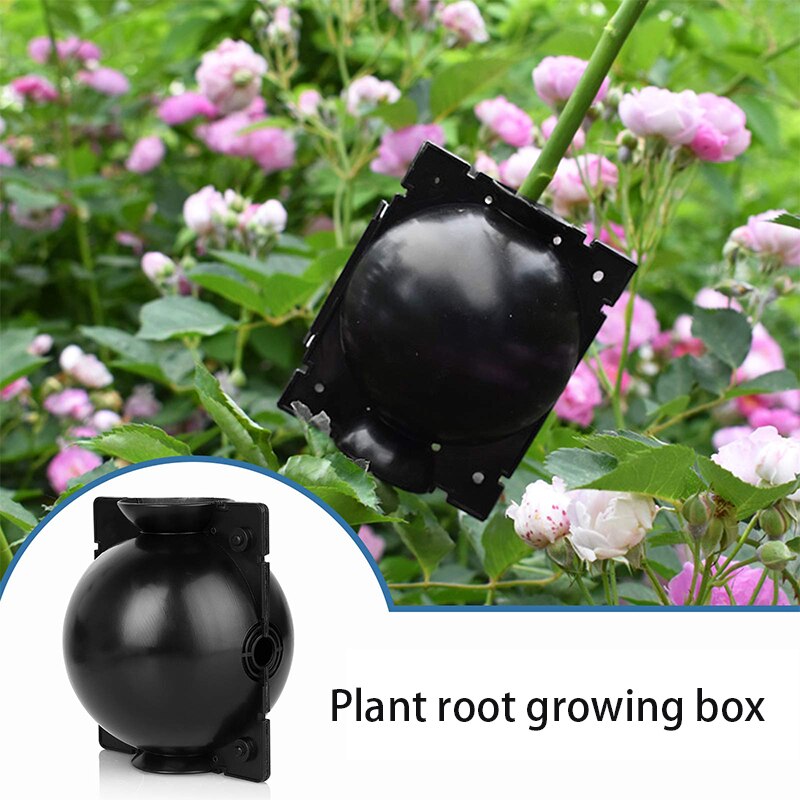 Herbruikbare Garden Plant Wortel Groeiende Doos Lucht Gelaagdheid Planten Wroeten Apparaat Hoge Druk Voortplanting Snijden Rooter Boompje Bal