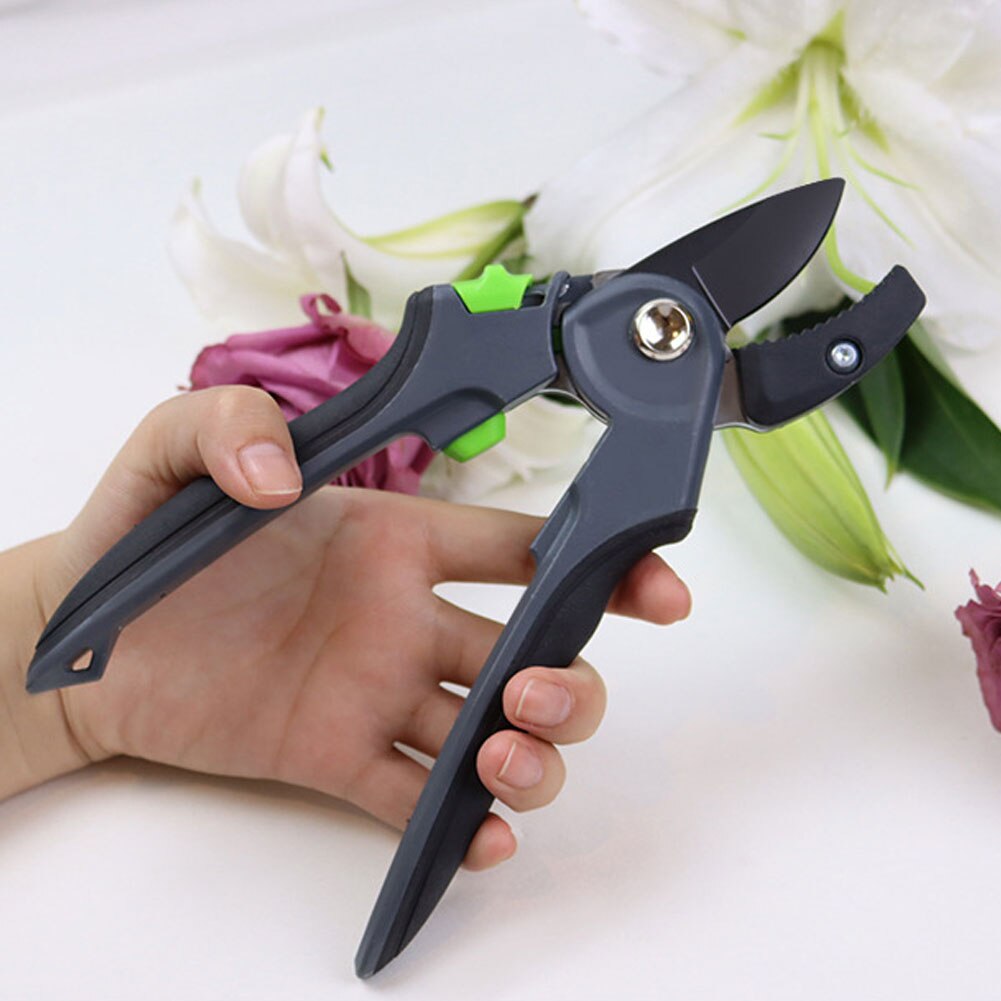 Cisaille de taille pour garniture de plante de jardin, coupe de branches, sécateur de raisin de floraison, taille de vigne, outil de semis et de greffage