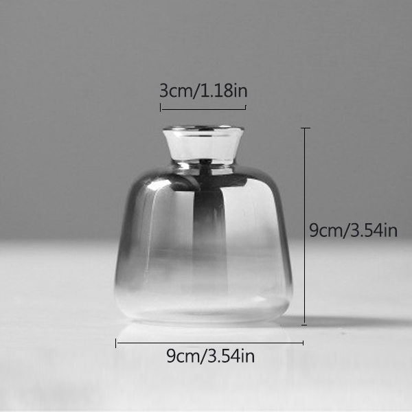 Nordisk glasvas silvergradient torkad blomvas skrivbordsprydnader heminredning roliga växter krukor inredning: M