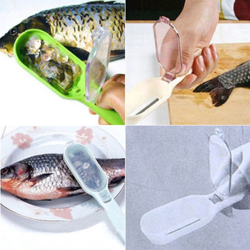Slumpmässig färg 1pc fiskskinn skrapande fiskfjäll borstar rivjärn snabbborttagare köksprylar köksredskap