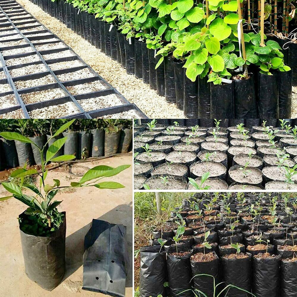 10Pc Plant Grow Bags Seedling Pots Garden Planting Bag Outdoor Fruits Vegetables Flowers Nursery Bags