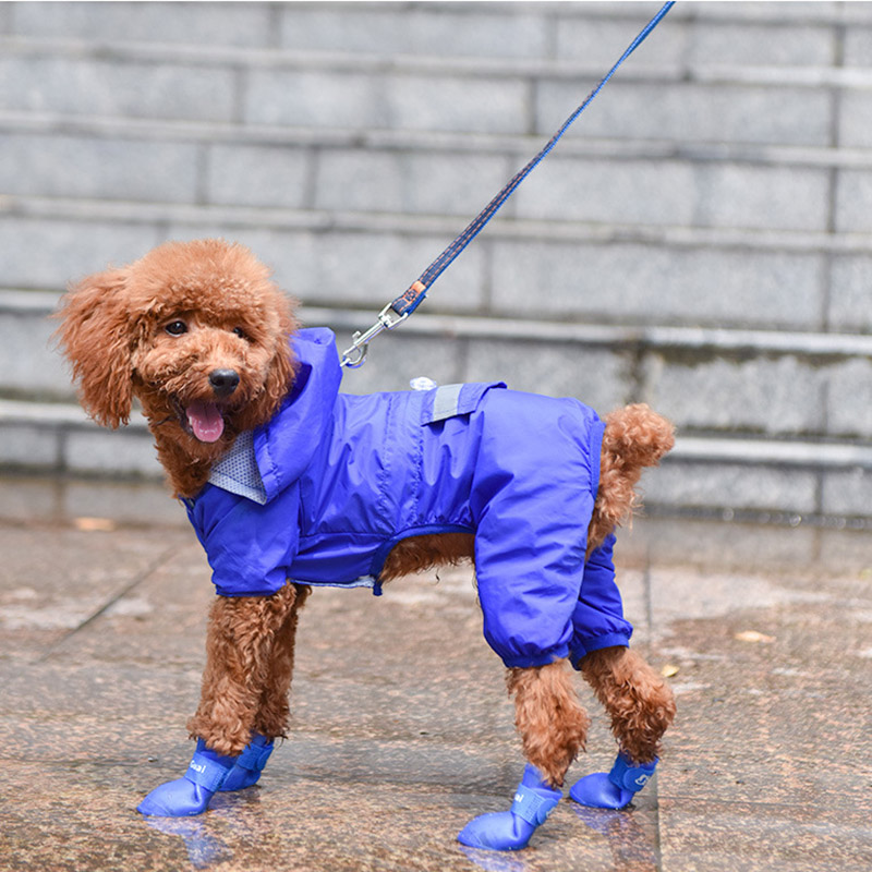 Botas de goma antideslizantes para mascotas, impermeables, para perros pequeños, medianos y grandes, zapatos para exteriores, botines para perros, accesorios para mascotas, 4 Uds.