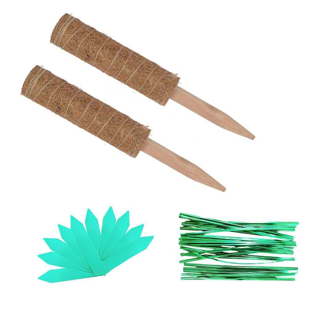 Plant Climbing Coconut Totem Rod 50cm/40cm/30cm /s... – Grandado