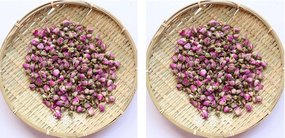 Różowa róża kwiat