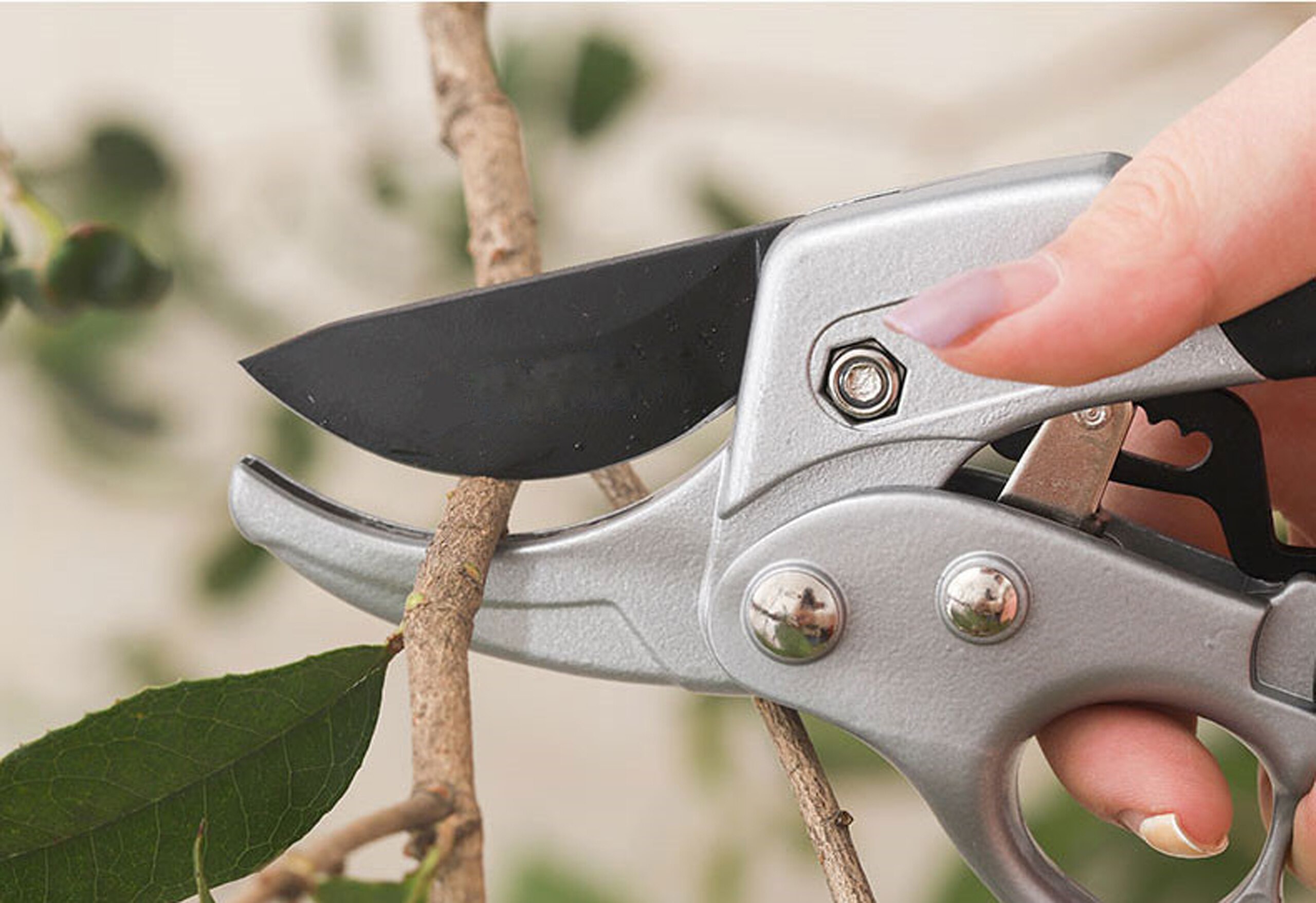 Garden Pruning Shears Cutter SK5 Steel Gardening P... – Grandado
