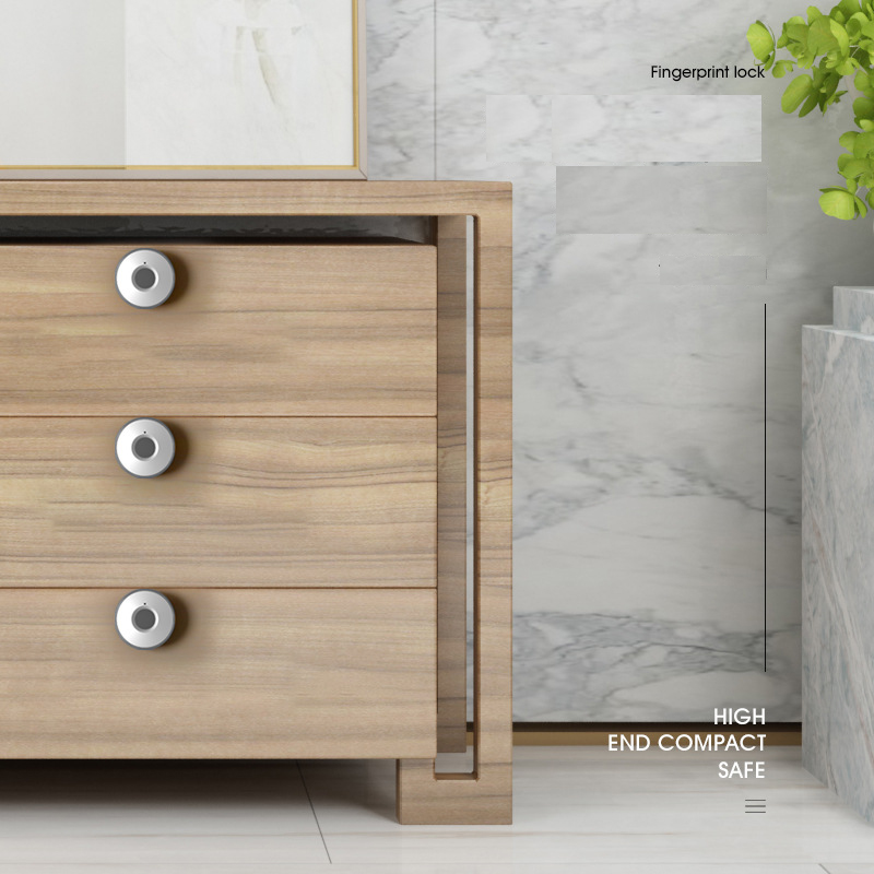 Mini Fingerprint cabinet lock biometric electric door lock