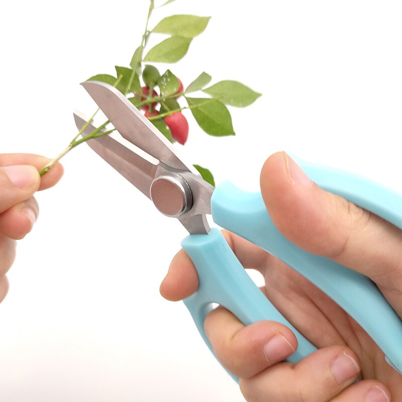 Rustfrit stål haveblomst saks dekoration saks blomster beskæring saks havearbejde multifunktionel have saks