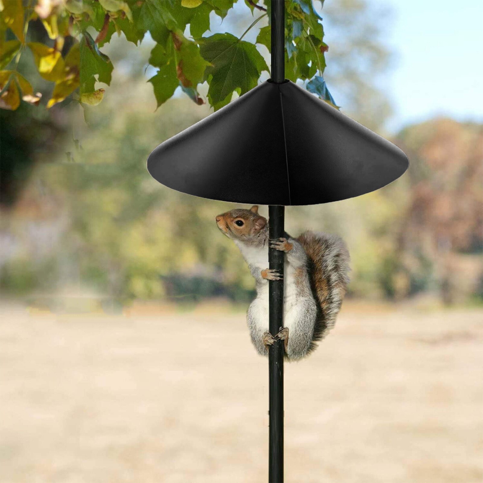 Dispositif de protection Anti-écureuil, type souris, pour mangeoires à oiseaux, déflecteur d'écureuil enroulé, décor de jardin Unique: Black 