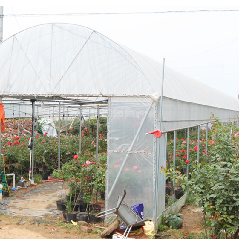 Película transparente para invernadero de verduras, cubierta de plástico para cultivo agrícola, protección Anti-UV para jardín, 0,1mm de espesor
