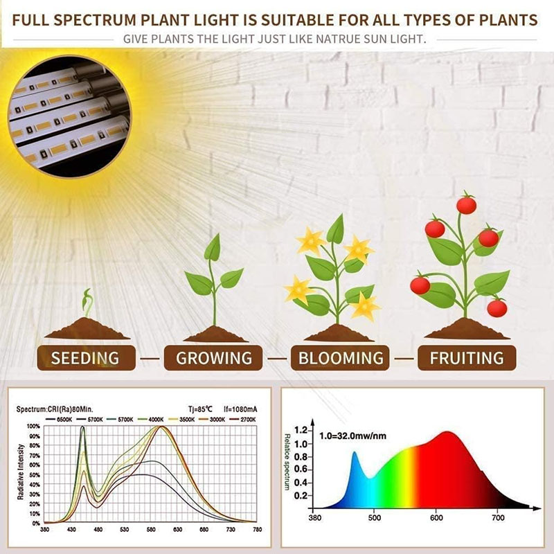 Plantengroeilicht, 5500K volledig spectrum clip LED-groeilamp voor kamerplanten Automatische timer en 5 dimbare niveaus (3 buizen)