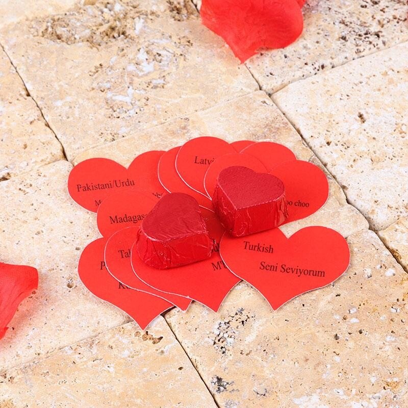 Pink Color Love Carriage Beetle