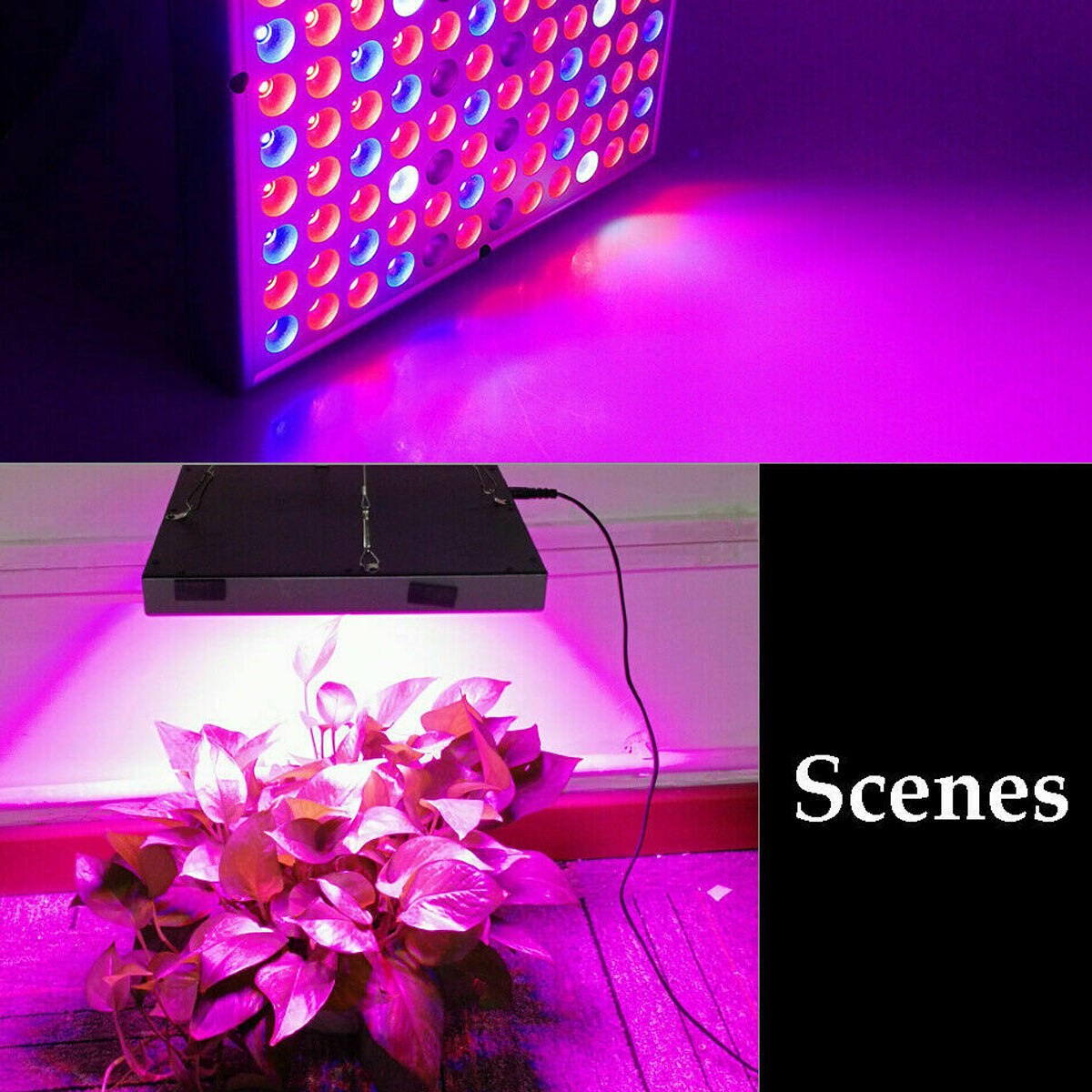 Fuldt spektrum 2000w/8000w førte vokse lys til planter indendørs lampe 2835 frø voksende lys telt phyto fitolampy vækst lampe