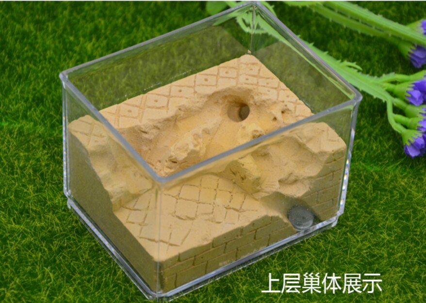 Granja de hormigas ecológica, nido cuadrado para paisajismo, casa de hormigas, taller, hormiguero para mascotas, caja de insectos de 10,3x7,6x7,5 cm,