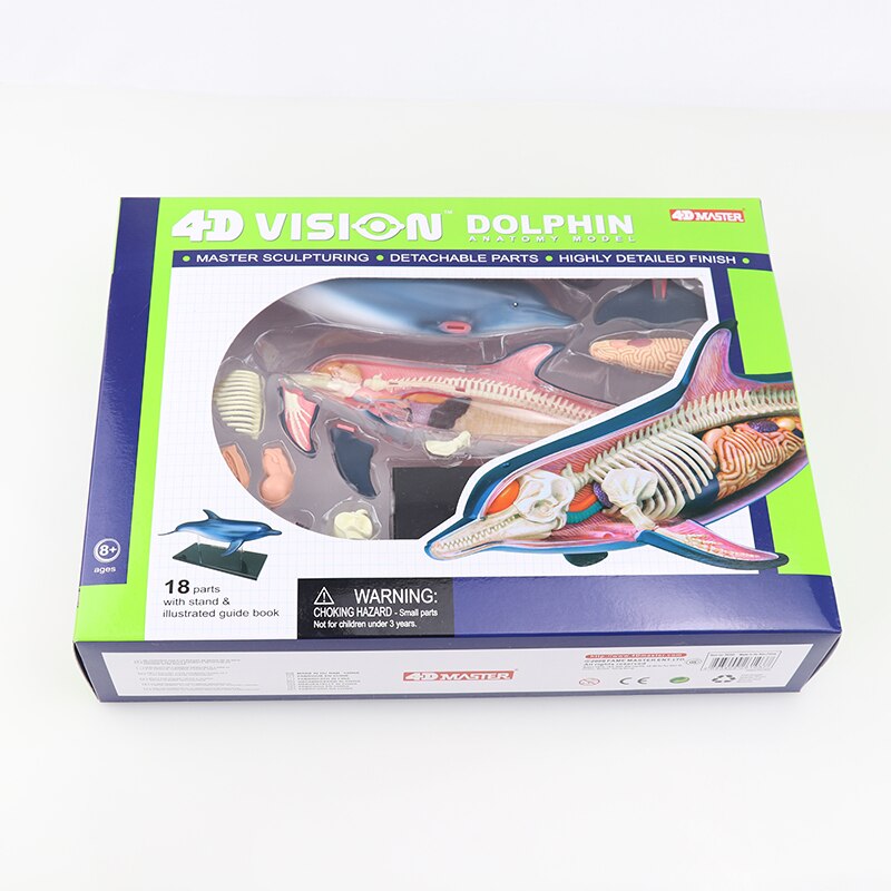 Simulatie dier pop 4d meester puzzel assemblage speelgoed wezen gevogelte kat hond paard varken haai walvis orgaan anatomie: Dolfijn