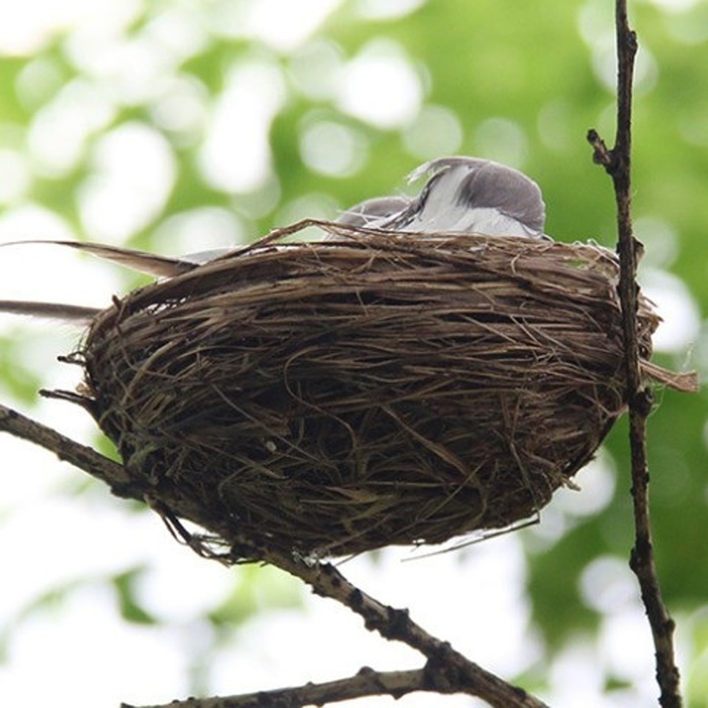 Handgemaakte Kleine Kunstmatige Vogels In Stro Nest Met Eieren Tuin Decor