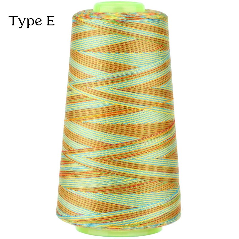 Nonvor 3000 Yards Rainbow Sewing Thread Multifunctional Polyester Sewing Thread for Regular Sewing Quilting Overlock Embroidery: Type E