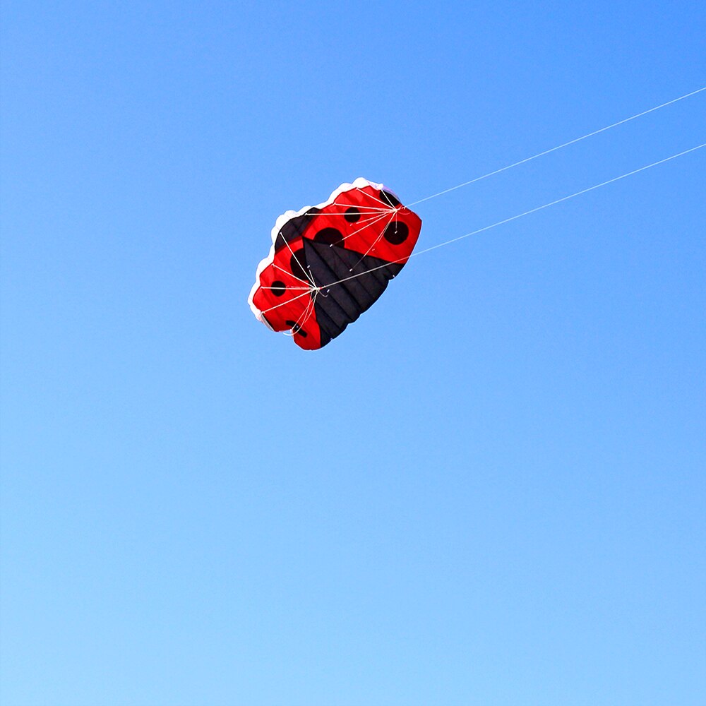 140 x 74cm rammeløs myk dual line stunt marihøne parafoil kite enorm fallskjerm sport beach flying kite