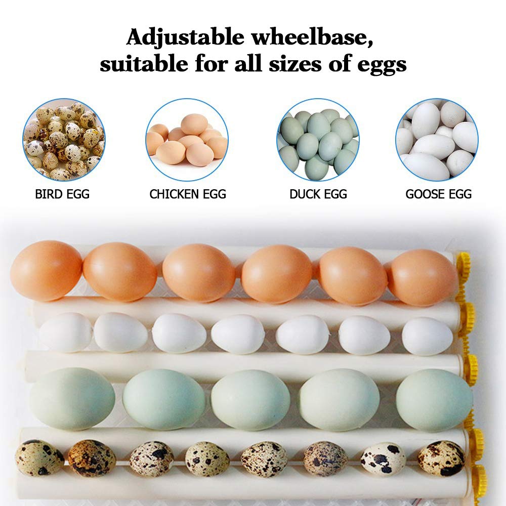 Poultry Hatchery Machine Hatching Eggs 16 Mini Brooder Small Chicken Bird Egg Incubator Hatchers for Quail Parrot Duck Pigeon