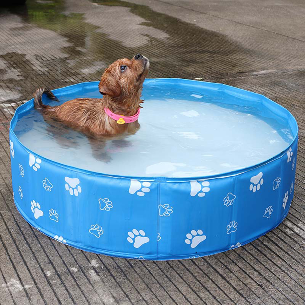Piscine pliable pour chiens Bain pour animaux de compagnie Baignoire  Baignoire extérieure intérieure piscine pliable pour chiens Chats Piscine  pour enfants