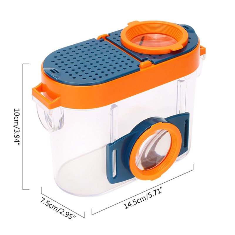 Vision d&#39;insecte avec Microscope grossissant, Observation de classe de Science pour enfants