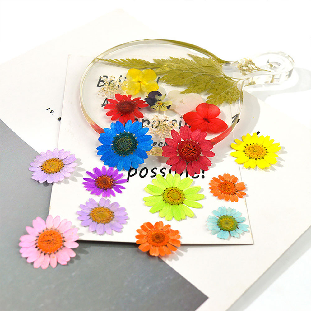 Silicone world Dried Flower Dry Plants For Epoxy Resin Pendant Necklace Jewelry Making Craft DIY Accessories UV Expoxy Flower