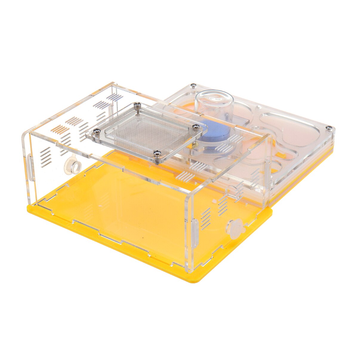 DIY Ameise Nest Ameise Bauernhof Ameisen Arbeit Pädagogisches Formicarium Acryl Insekt Ameise Nester Villa Haustier Manie Haus freundlicher