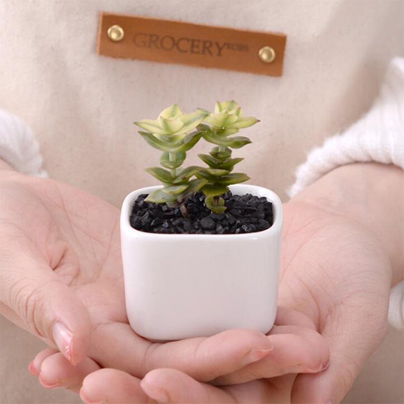 Brief White Ceramic Flower Pot Small Square Green Plant Holders Flower Container Pot Desk Balcony Garden Mini Plant Pot