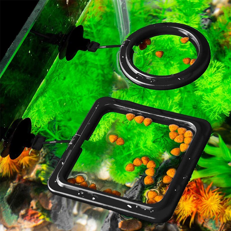 Aquarium Fütterung Ring Fischfutter Auftrieb Ring Schwimm Tablett Fisch Zubringer Platz/Kreis Mit Saugnapf Aquarium Zubehör
