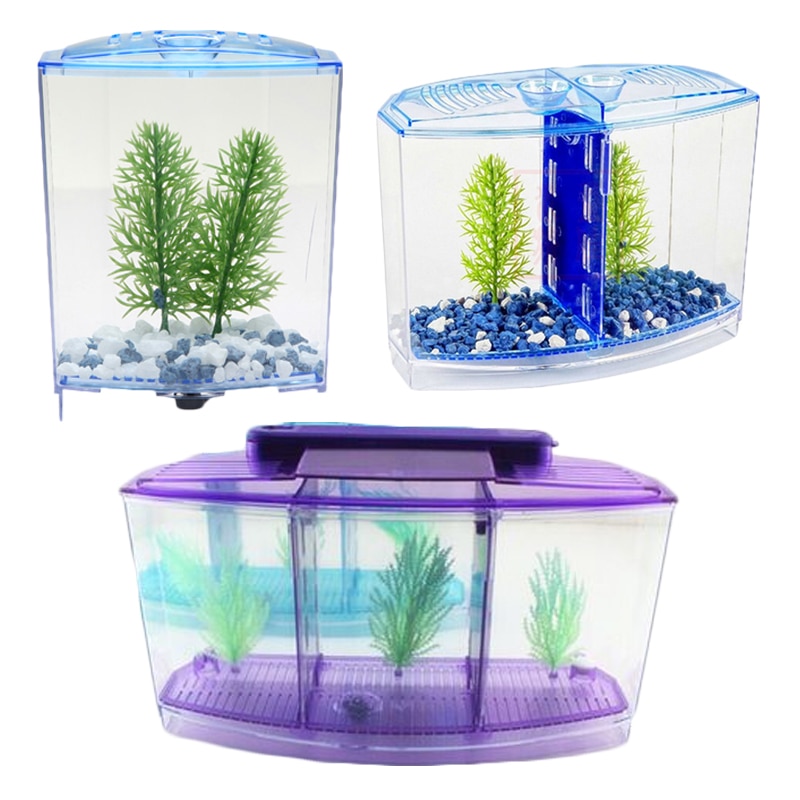 HONGYI-boîte d'élevage Guppy bébé | Poisson, séparation nœud de poisson, Aquarium, petite boîte d'élevage