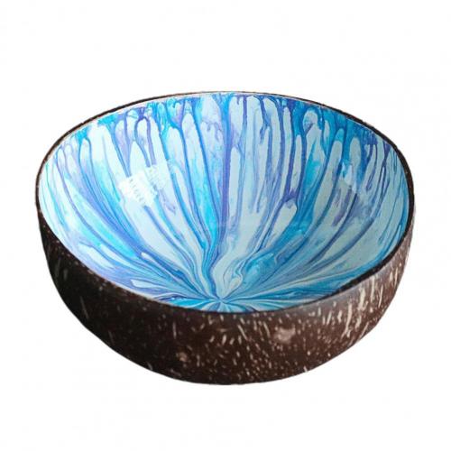 Bols à noix de coco polis, contenant alimentaire peint à la main, bols à bonbons en coquille de noix de coco naturelle lisse, décoration de maison: Bleu