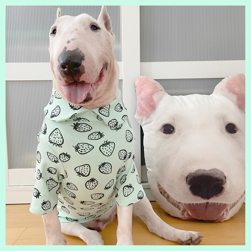 Grote Hond Shirt Amerikaanse Bully Pitbull Kleding Bull Terrier Kleding Franse Bulldog Corgi Samojeed Husky Labrador Golden Kleding: green / M