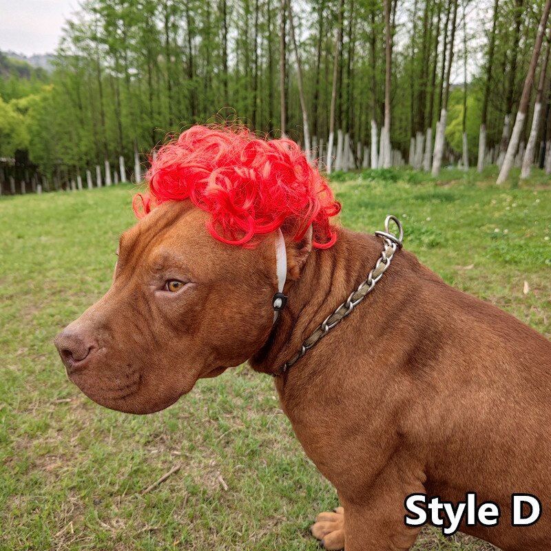 Perruque de déguisement d&#39;halloween pour chien, chapeau de Cosplay amusant, accessoire pour chien, bouledogue français, Chihuahua, d&#39;anniversaire: D