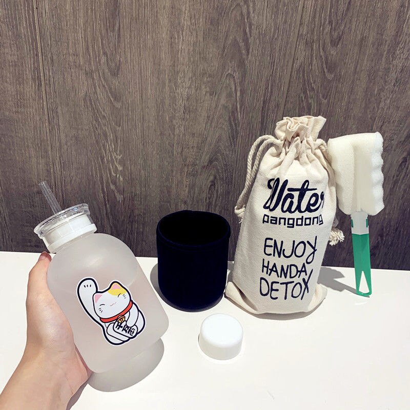 500ml chat chanceux bouteille en plastique sans BPA dessin animé Transparent/givré bouteilles d'eau étanche Drinkware mignon étudiant tasse: 12