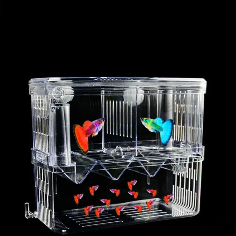 S/L/XL Aquarium Fokker Box Vis Fokken Isolatie Box Vis Broederij Acryl Divider Garnalen Clownvis Agressieve Vis Gewond