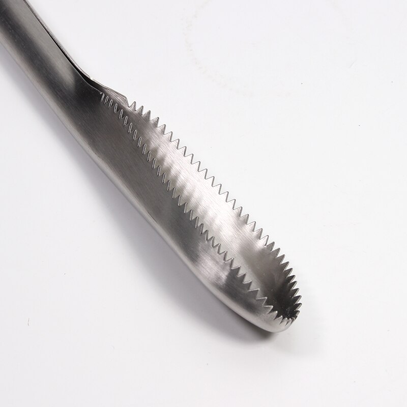 Stainless Steel Fish Scale, Scraper Remover for Fast and Easy Fish Scale Removing 9 Inch