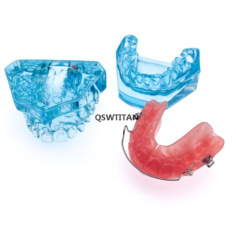 Dental Functional Orthopedic Bionator Removable/Hawley Retainer Teeth Model for dentistry students Teach Study Model