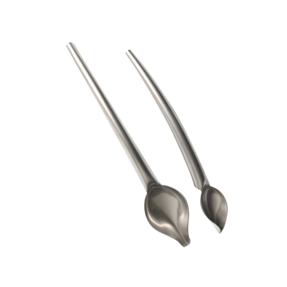 2 Pcs Stainless Steel Silk Flower Decor Spoon Multi-use Precision Chef Culinary Drawing Spoons Cake Decorating Tool
