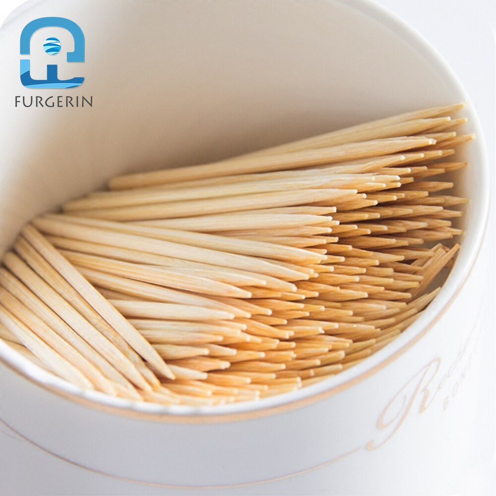 FURGERIN Disposable Toothpick Box Wooden Toothpicks Decorative bamboo toothpick party toothpicks Tooth Pick Finger Food