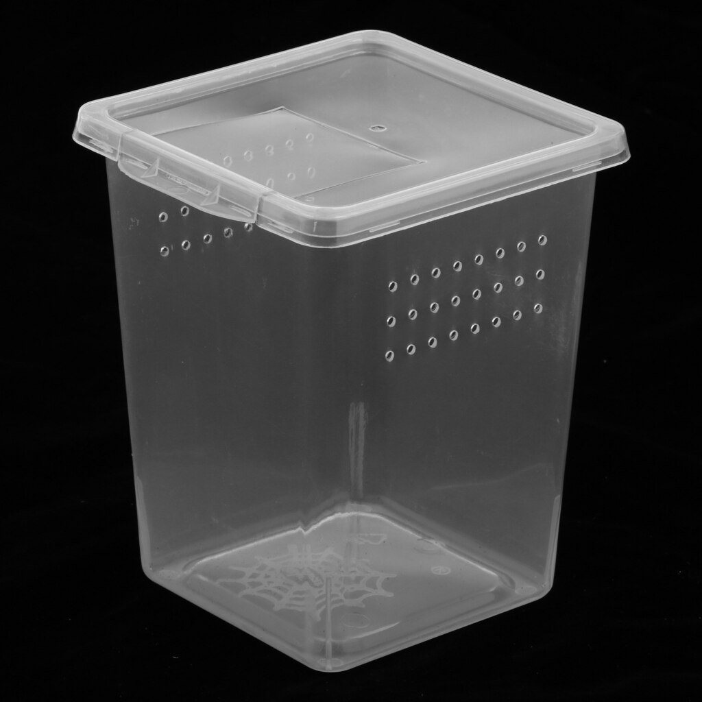 Plastic Insect Turtle Spider Habitat Feeding Box Container REUSABLE 8x8x11cm