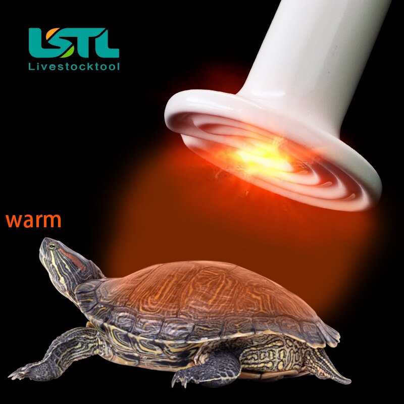 220V Pet Reptile Far Infrared Ceramic Heating Lamp Heat Emitter Light Bulb 25W 50W 75W 100W 150W 200W
