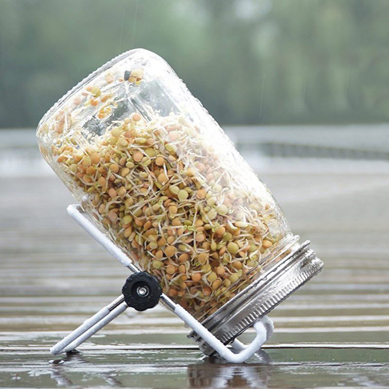 Sprouting Jar with 304 Stainless Steel Screen Lid Wide Mouth Quart Mason Sprouter Germinator for Organic Alfalfa Bean